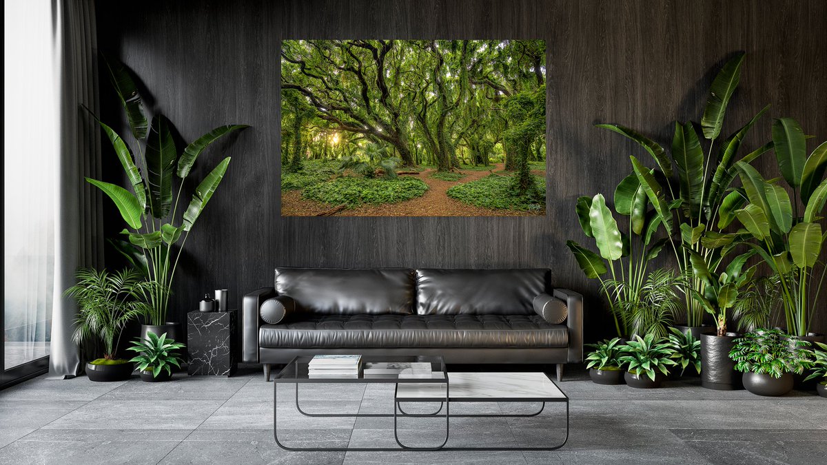 This is 1 image I came across by complete random accident. Walking through this forest was like entering some kind of #enchantedforest by the sea. Located on the northwest side of #Maui, it was one of the most stunning locations I visited during my #Hawaii trip! #treephotography