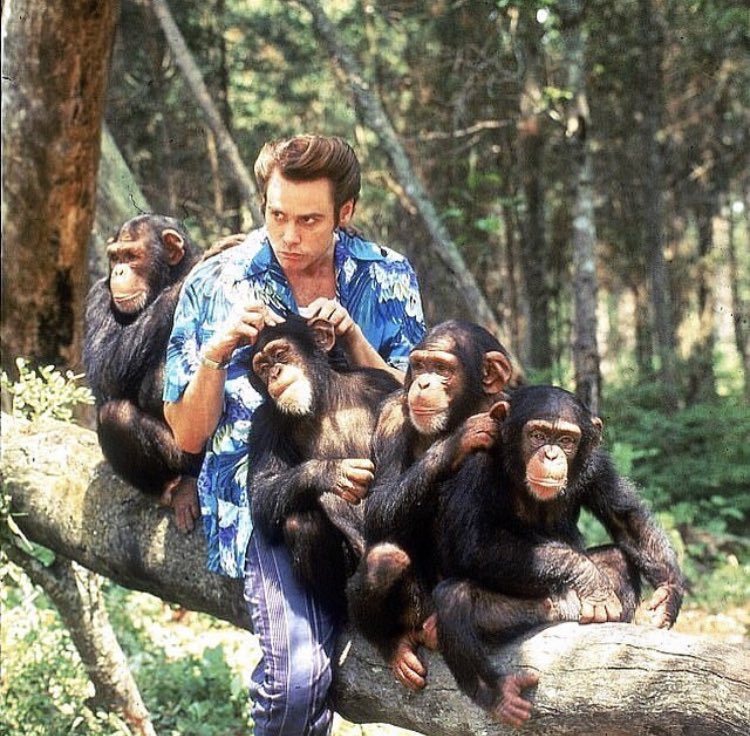 Hanging with the squad.