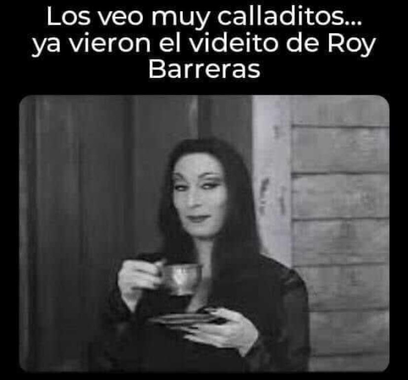 Qué pasó mamertos? Sorprendidos por las andanzas de su ídolo caído y rata roy que es una sanguijuela y un lagarto #NoMasPetro #OjoConEl2022