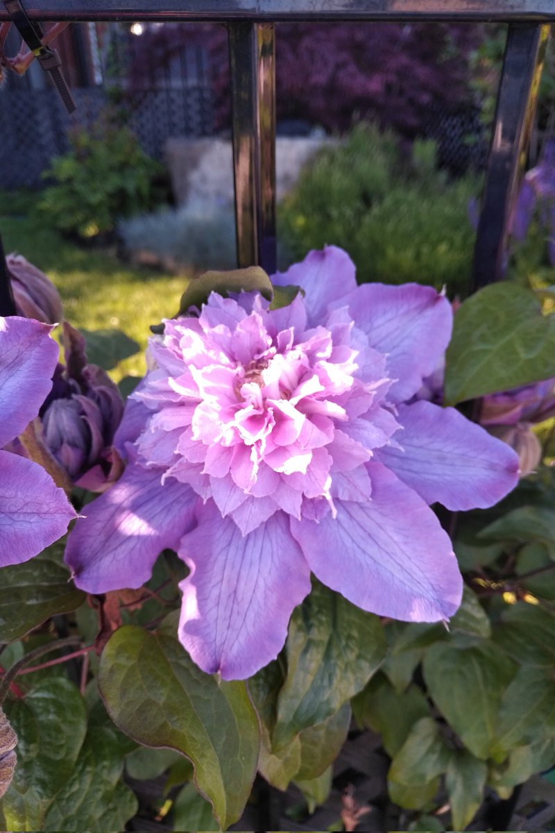 pattimarathon's tweet image. #WhileWalking