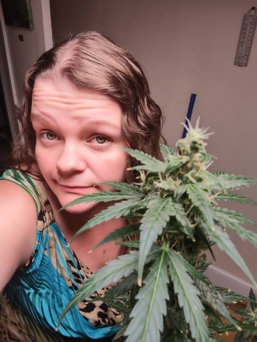 Sarah Thibodeau’s pics and videos