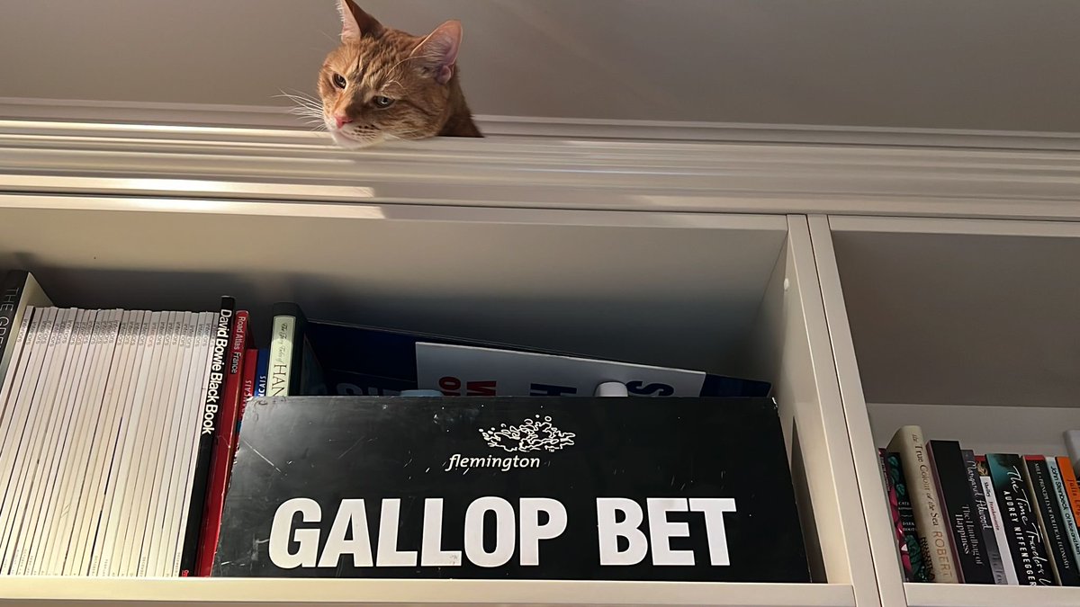 Teddy’s tip of the day is to bet with Aussie-owned GallopBet.com.au for better prices and better service. Specialising in all things gallops…