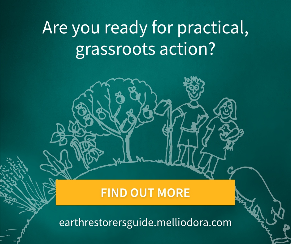 Ready for practical, grassroots action? We don't think there has ever been a time for a louder and bolder YES! Support earth restoration now.

earthrestorers.com/grassroots-act…