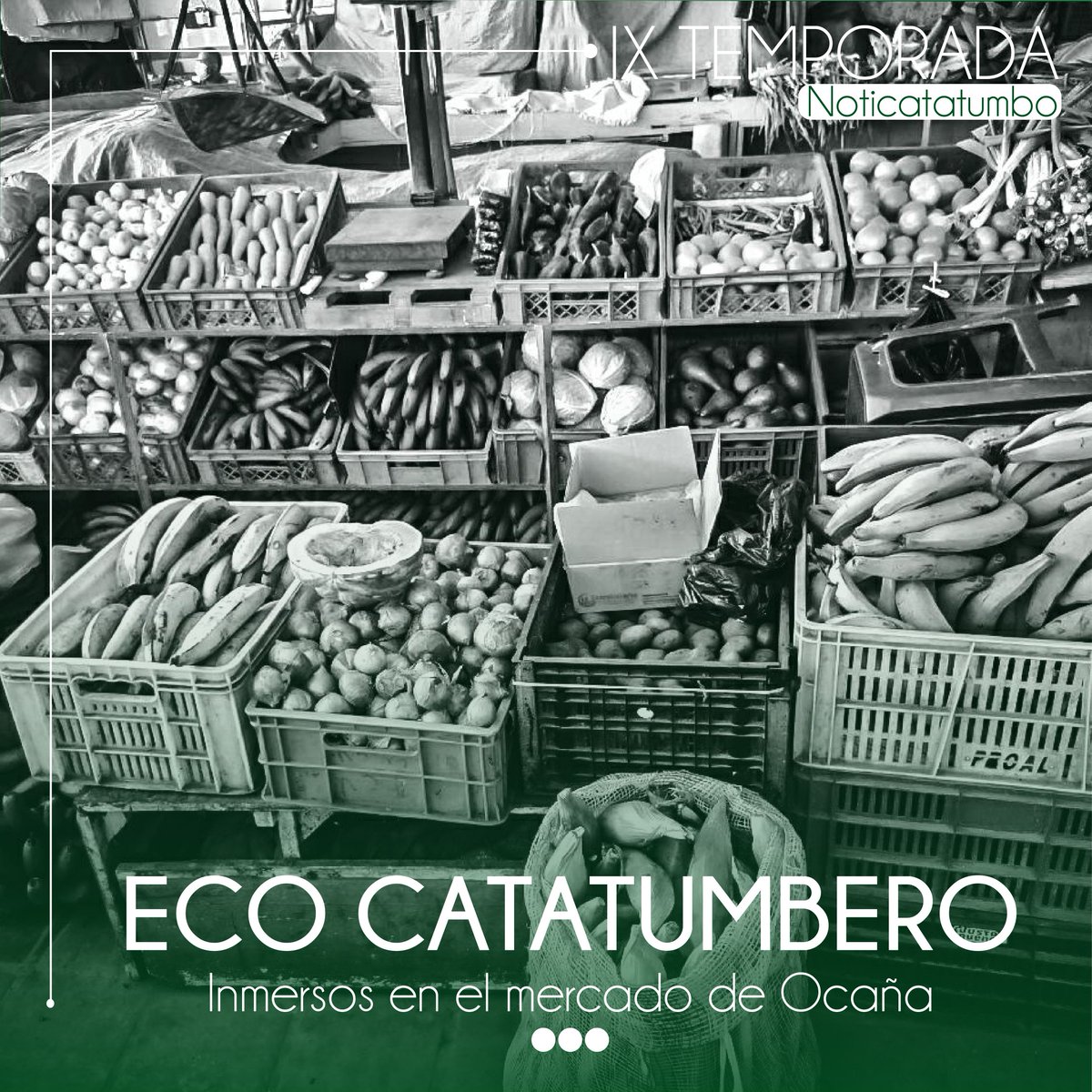 Noti Catatumbo 🟢 tweet media