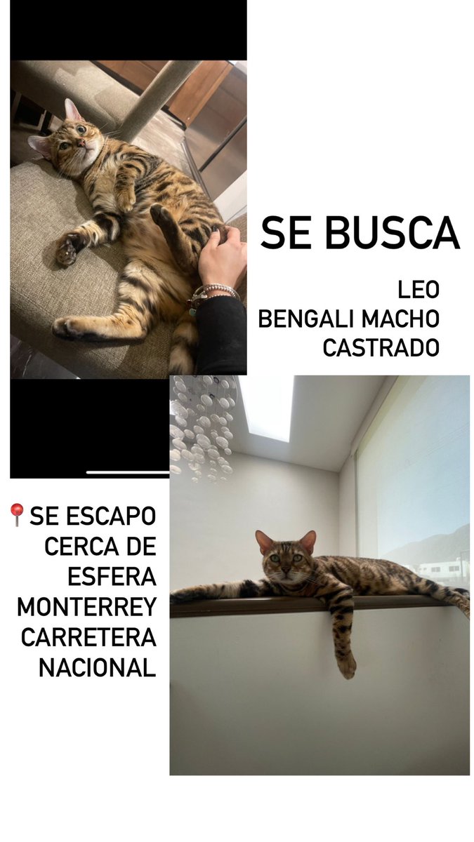 Alanita ₊˚⊹♡ (@alanafloresf) on Twitter photo 