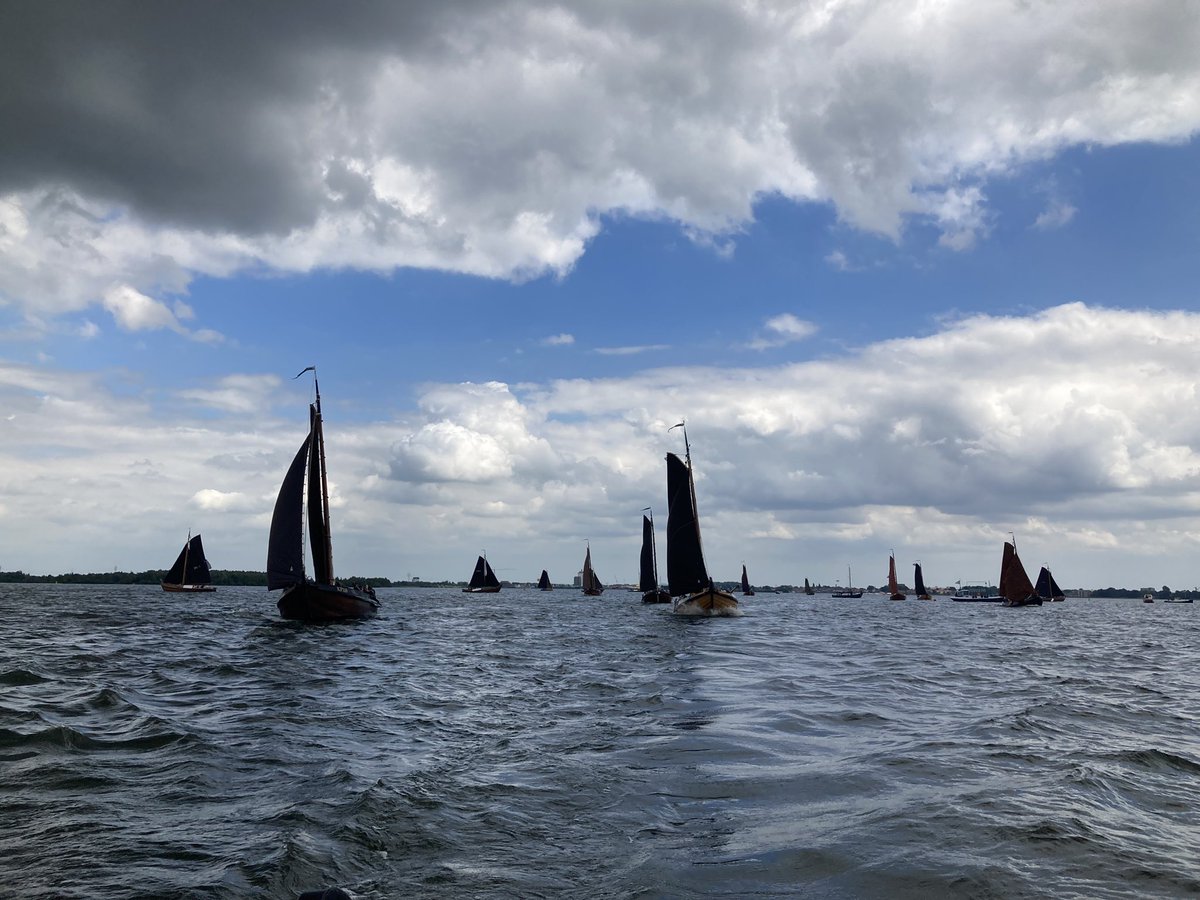 Harm-Jan vSchaik 🕊️ tweet media