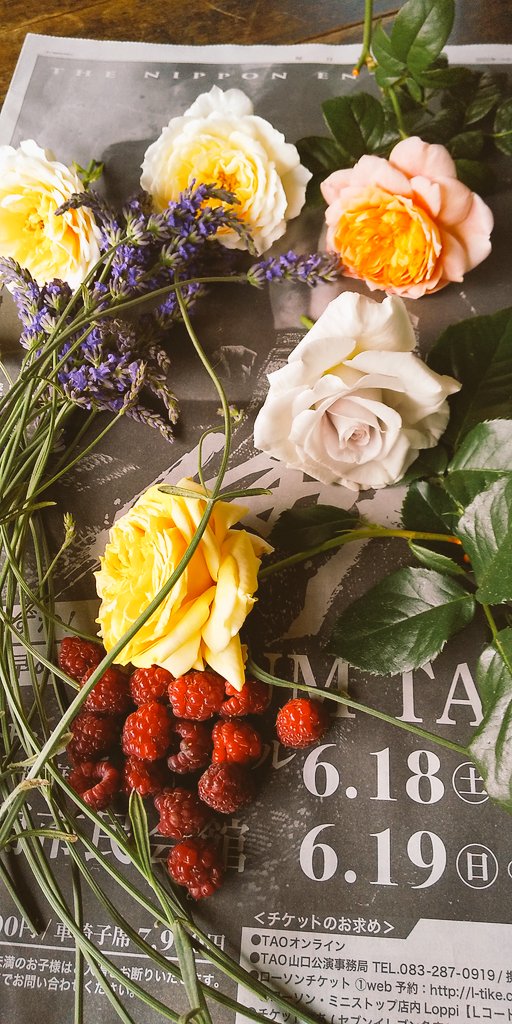 ホームセンタージュンテンドー Twitter Search Twitter