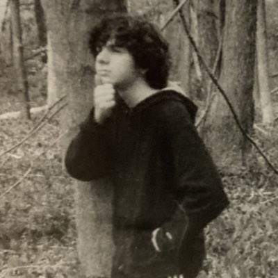 Dante Melillo tweet media