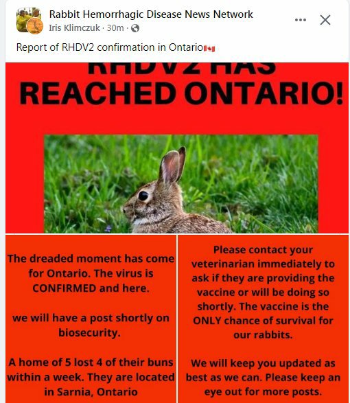 SchmoopyWoopy's tweet image. Ontario bunpals!⬇⬇⬇⬇⬇⬇⬇⬇⬇⬇
content://com.amazon.cloud9.FileProvider/images/screenshot/16549044564081443637020.jpg