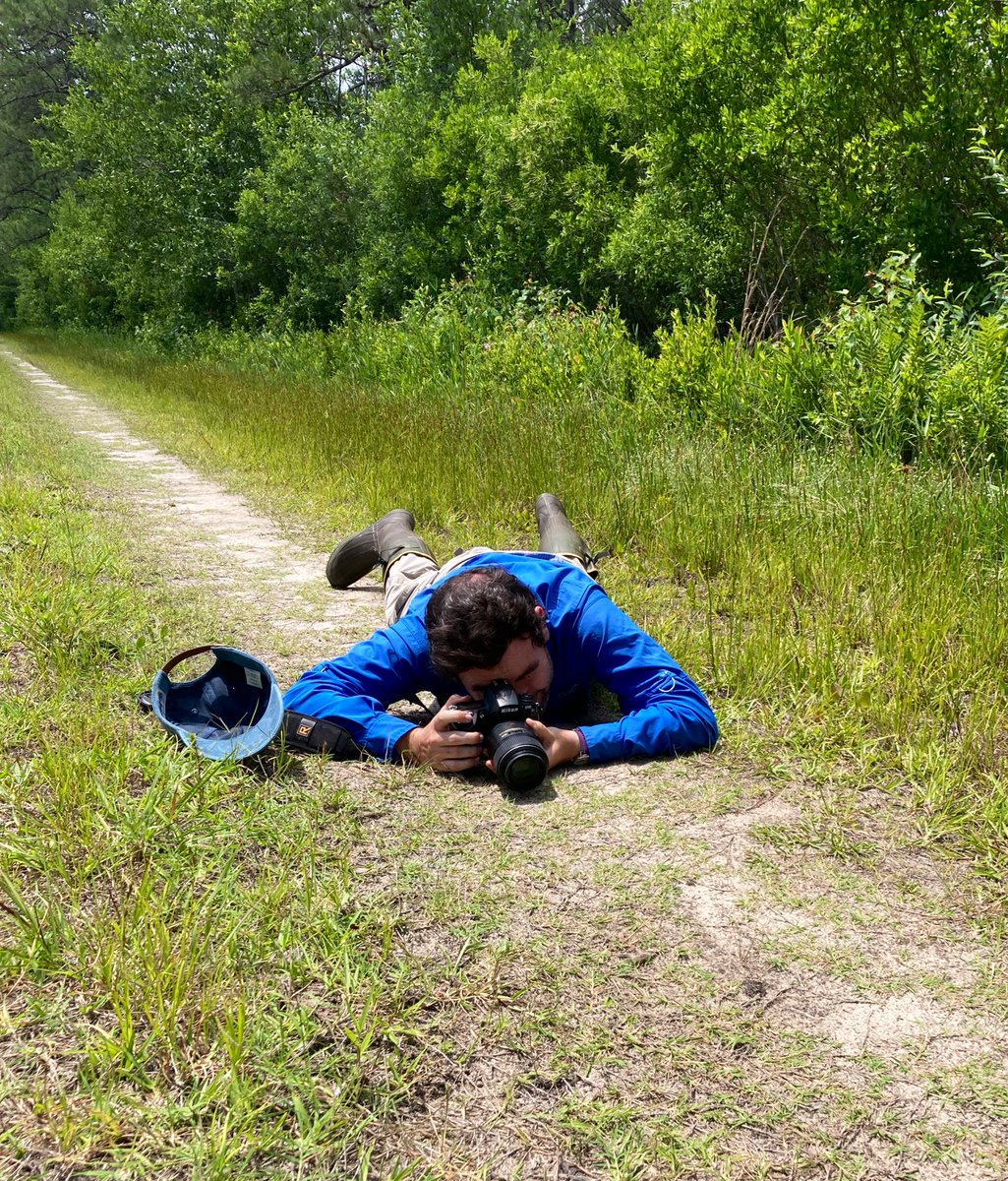 Fieldwork with @theKannArtist be like: (he saw a bug)