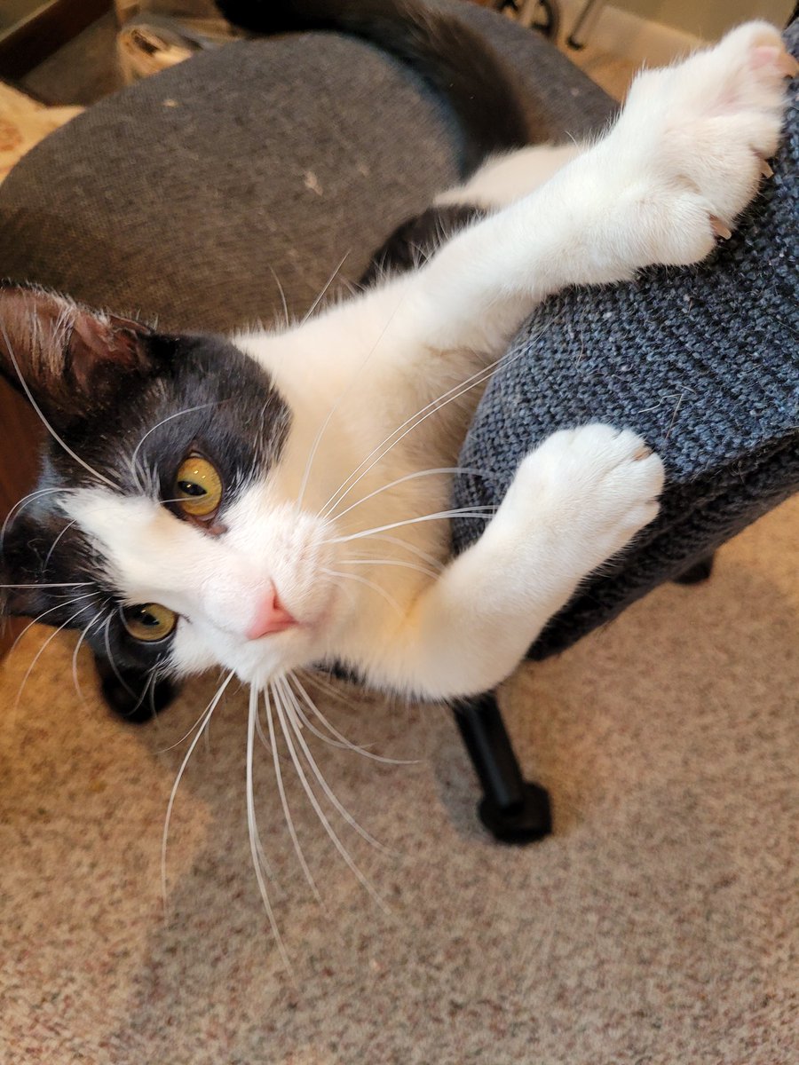 The_DerpyBruce tweet media