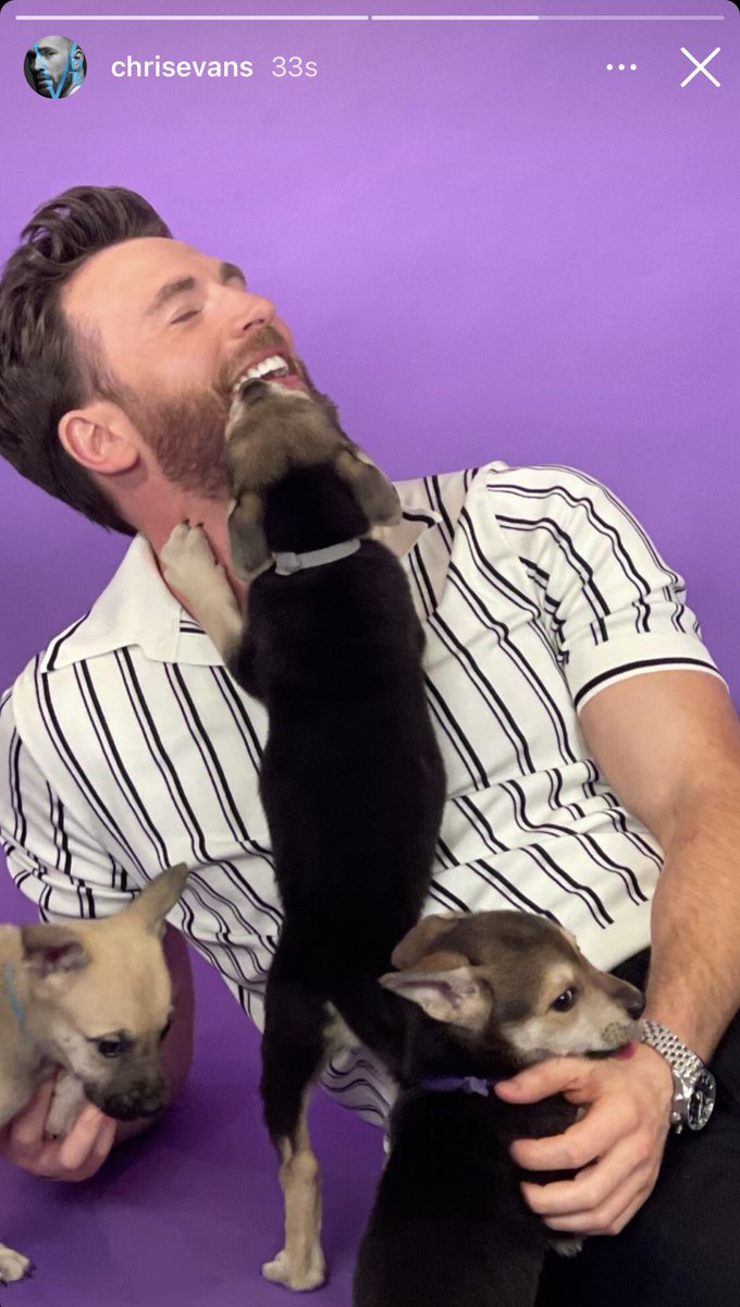 BuzzFeed's tweet photo. When @ChrisEvans has pics from the puppy interview before the social team 🙃 
@BuzzFeed when we droppin it? https://t.co/GJIb1smbm6