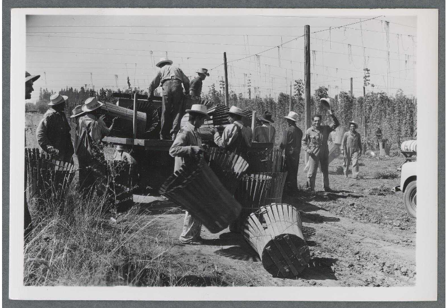 quesnelc's tweet photo. Hace 80años nació el #ProgramaBracero que marcó los movimientos migratorios🇲🇽🇺🇸y representó un gesto de colaboración bilateral. Su impacto se vivió por generaciones. Oregon recibió +de 15mil trabajadores @ConsulMexPot #80AñosBraceros #BracerosEnOregon 📸: @OregonState P HC https://t.co/sS6VYFrmdV
