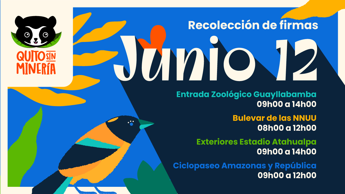 QuitoSinMineria's tweet photo. ¡El domingo también recolectamos firmas!
Acércate y firma por un #QuitoSinMinería!

#SeVieneLaConsulta https://t.co/rCU7zFC05j