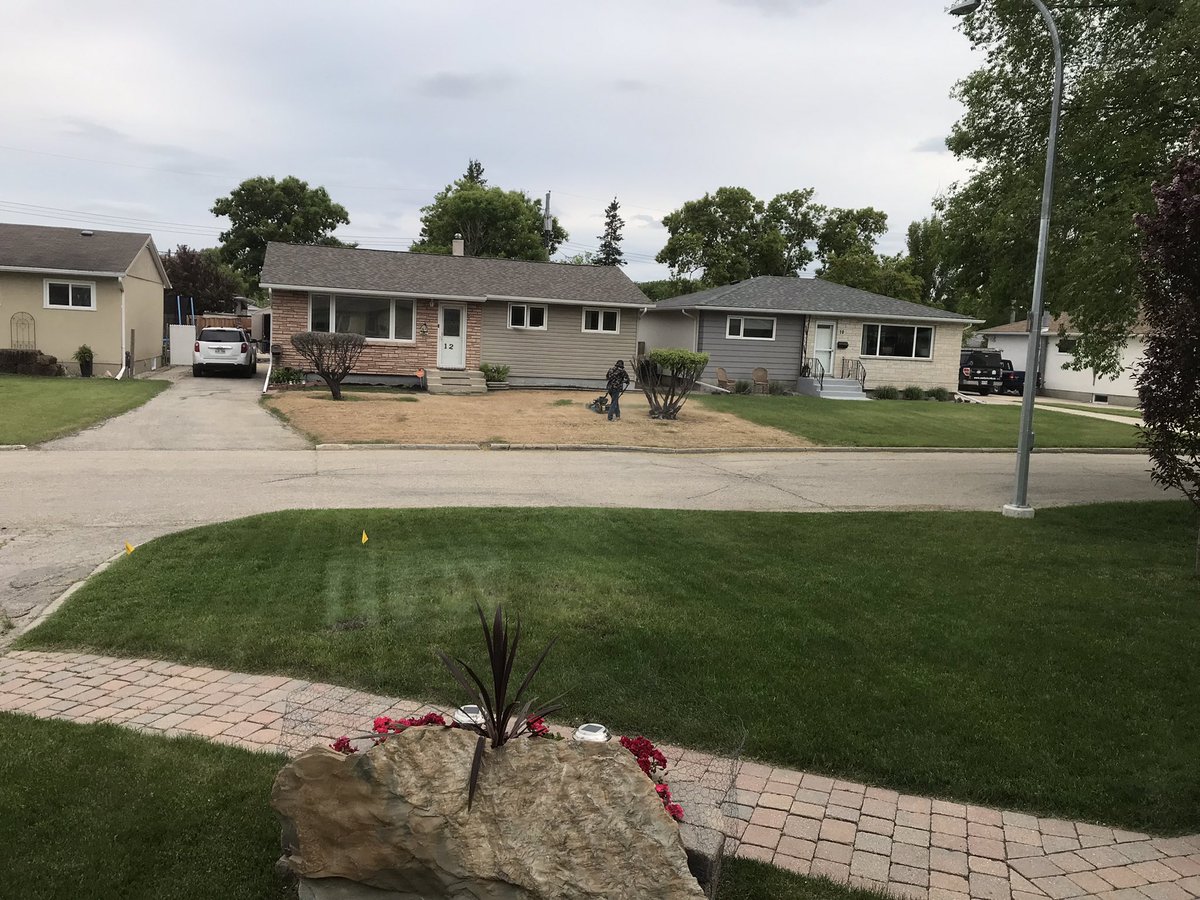 summitwhite333's tweet photo. There’s always that one #neighbour Great summer ahead! https://t.co/M41QWjO1xq