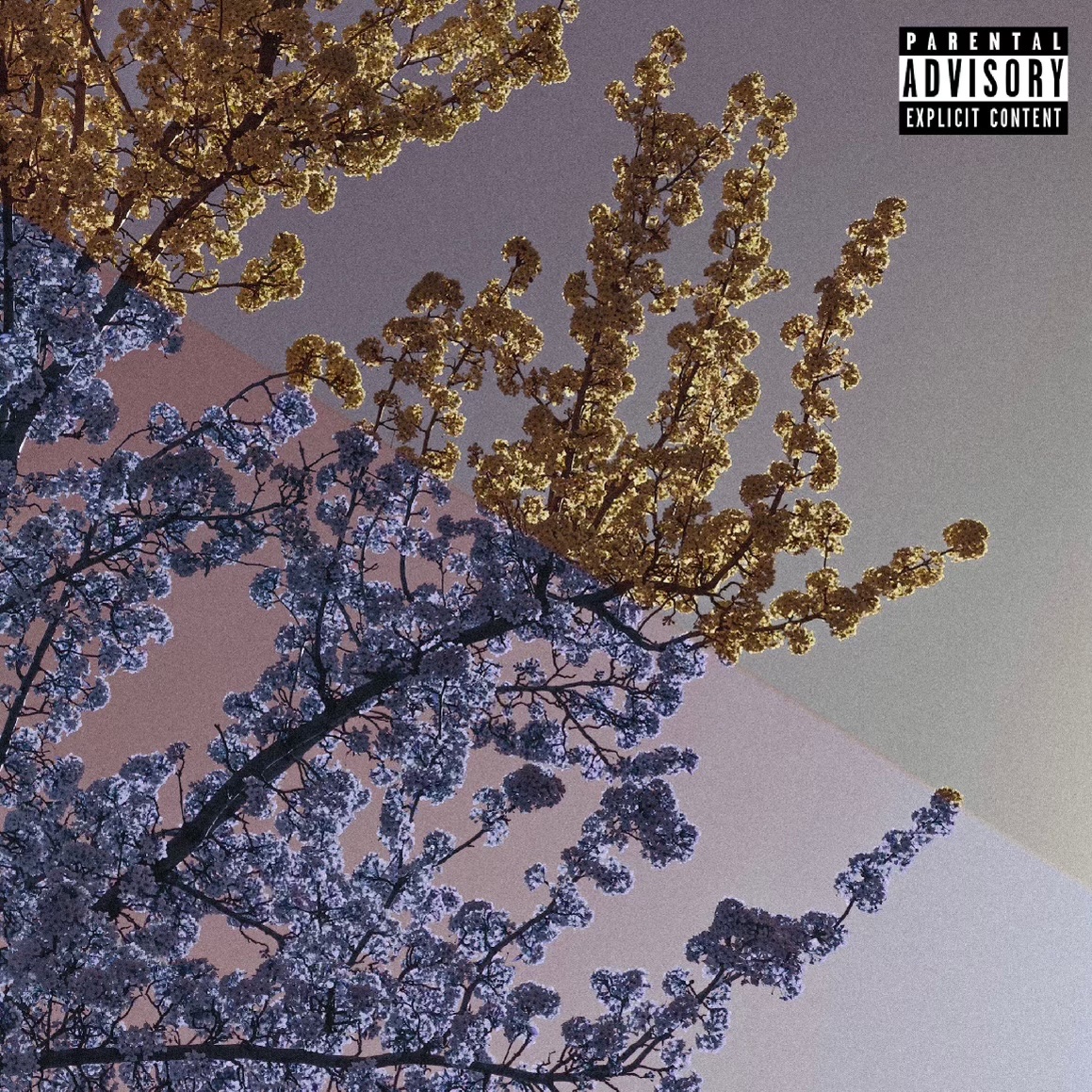 majinmaul's tweet photo. “light” out now :) 
💜💜💜check it out 💜💜💜

https://t.co/N8SB6g97KS https://t.co/uKPLCXHAbV