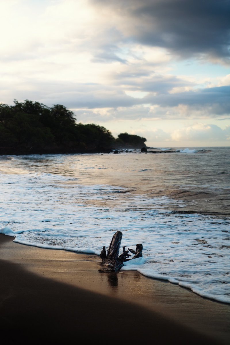 BvTM's tweet photo. Maui 🤤
#nikon #maui #sunrise #hawaii #mauihawaii #ocean #beach https://t.co/0rD48RURgc