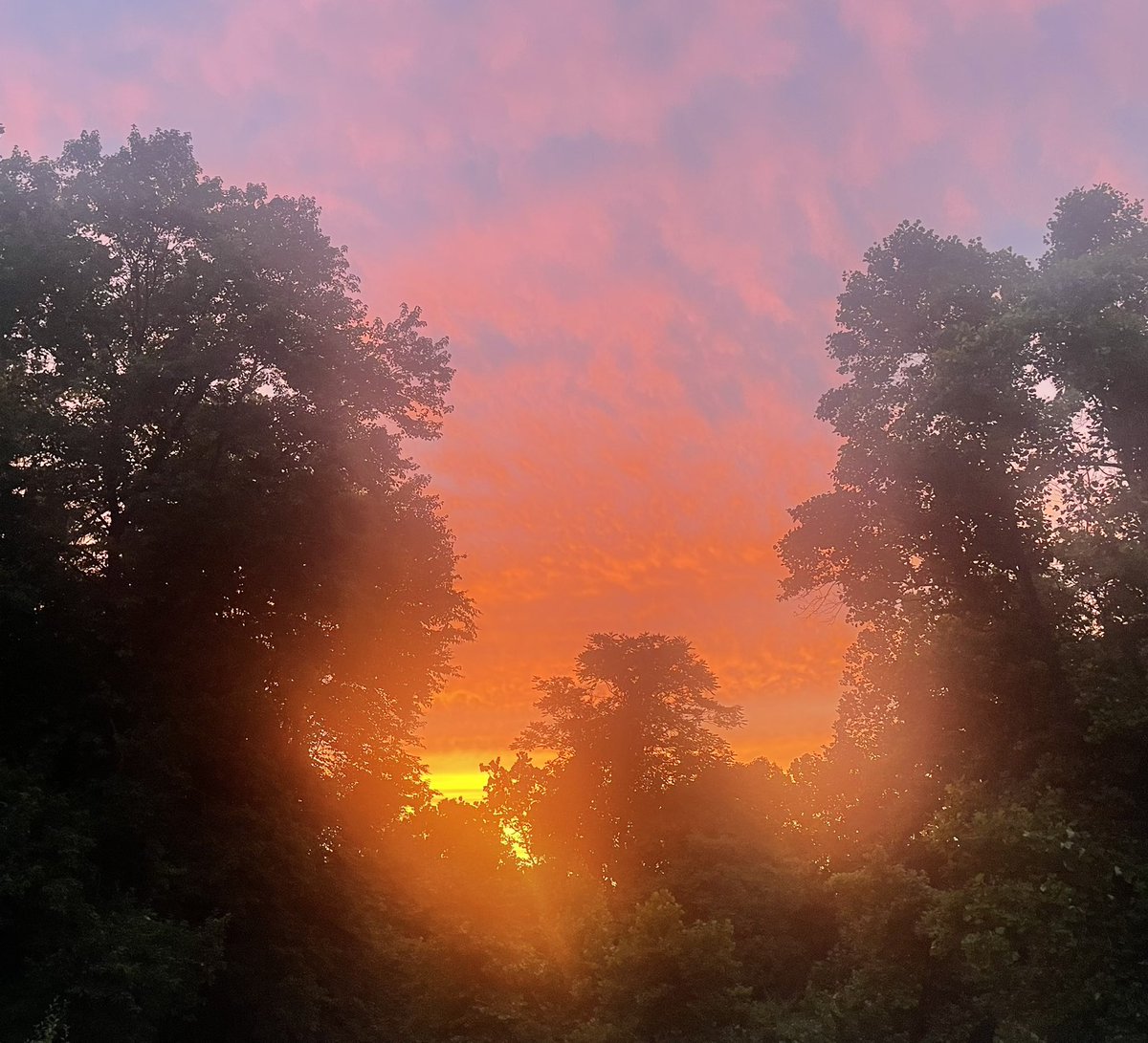 JrzyJoePiscopo's tweet photo. #NewJerseySunset https://t.co/wV7fStj743