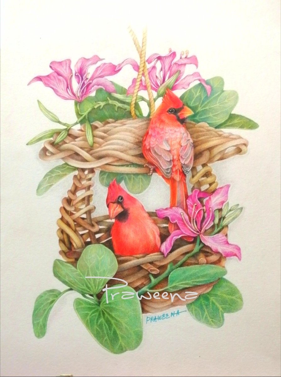 Praweena tweet media