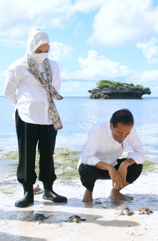 HendriViliano's tweet photo. numpang tanya,
kok melepas anak2 penyu arah nya ke daratan ya?apakah itu penyu darat??? @DrEvaChaniago  @Nicho_Silalahi @CutSarina5 https://t.co/qdtBBDntcc
