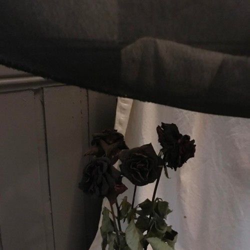 𝗡𝗼𝘄 𝗜 𝗸𝗻𝗼𝘄
               𝘁𝗵𝗲𝗿𝗲 𝗶𝘀 𝗯𝗲𝗮𝘂𝘁𝘆 
               𝗶𝗻 𝗱𝗮𝗿𝗸𝗻𝗲𝘀𝘀