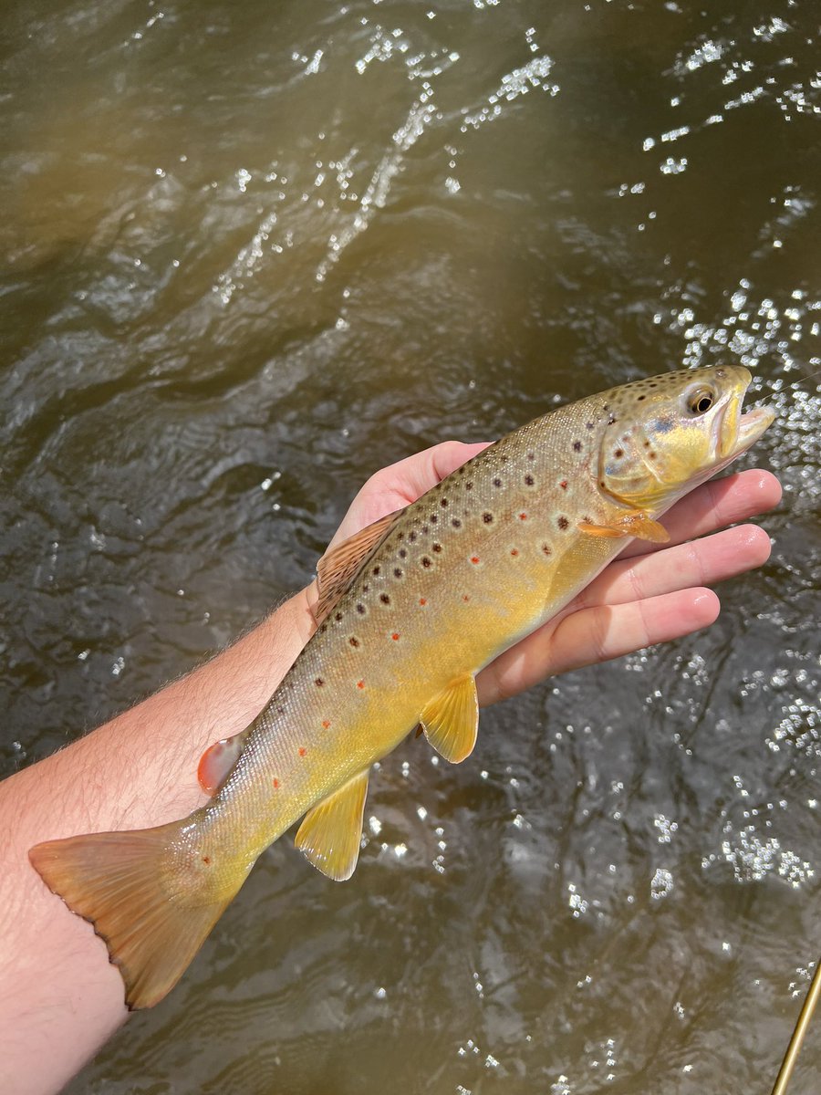 Some butter for your timeline!