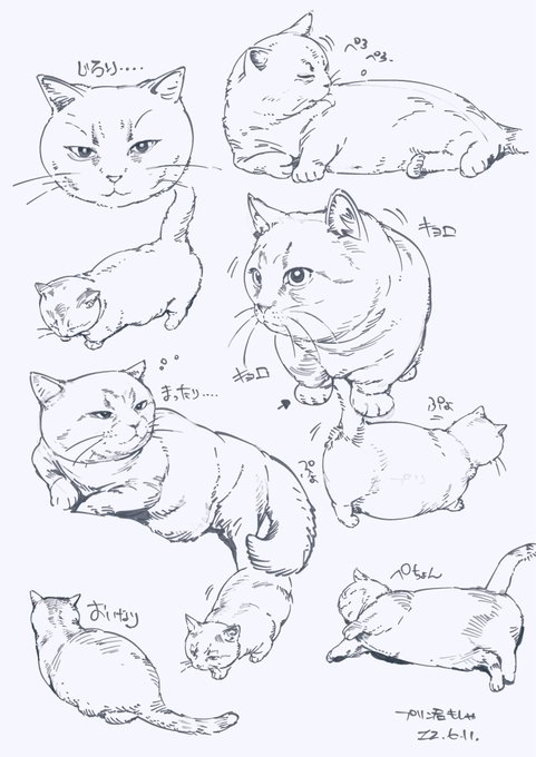 プリン君描いた🍮 