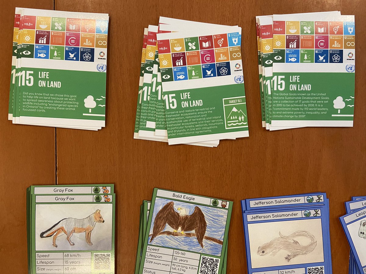 McM_MsT's tweet photo. #RedTeamBD student-designed playing cards and @MetaverseApp #AR story!
#TeachSDGs #GlobalCompetencies #mcmbizday #STEM #DesignThinking
@McMBusinessDay @tdsb @TDSB_CCEL @TDSB_McMurrich https://t.co/p99K8RYl3u