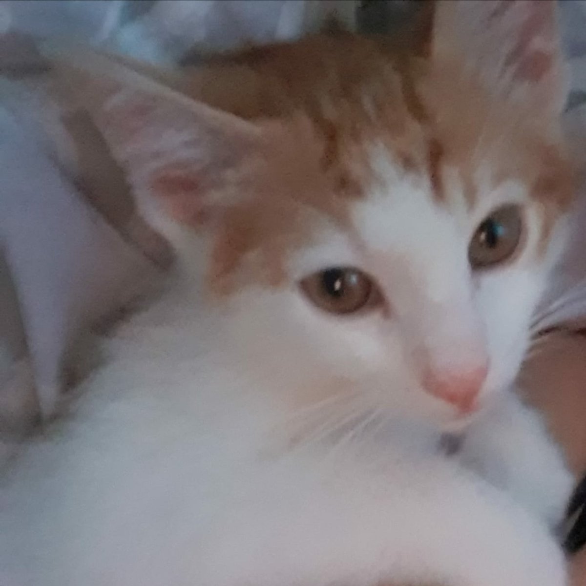 #YeniProfilResmi
