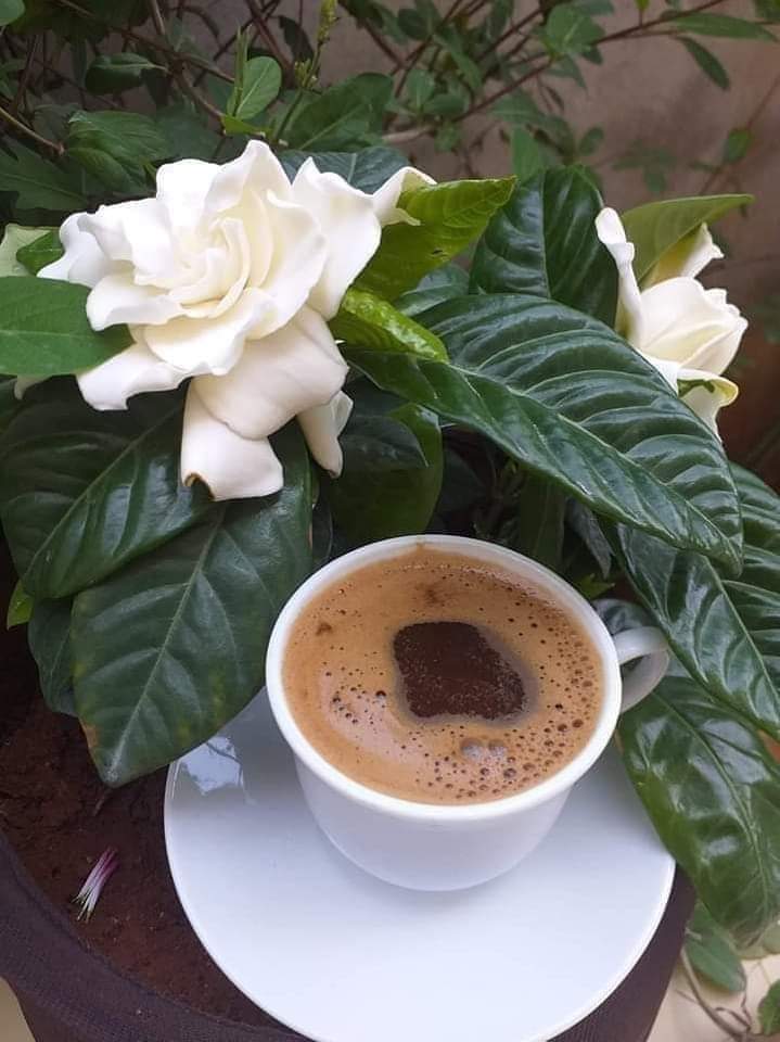 S__85_'s tweet photo. نعيش على أمل آن كل شيء سيصبح جميل 
مادام لنا ربُ يقول كن فيكون 
#صباح_الخير https://t.co/OyCbVPyd4V