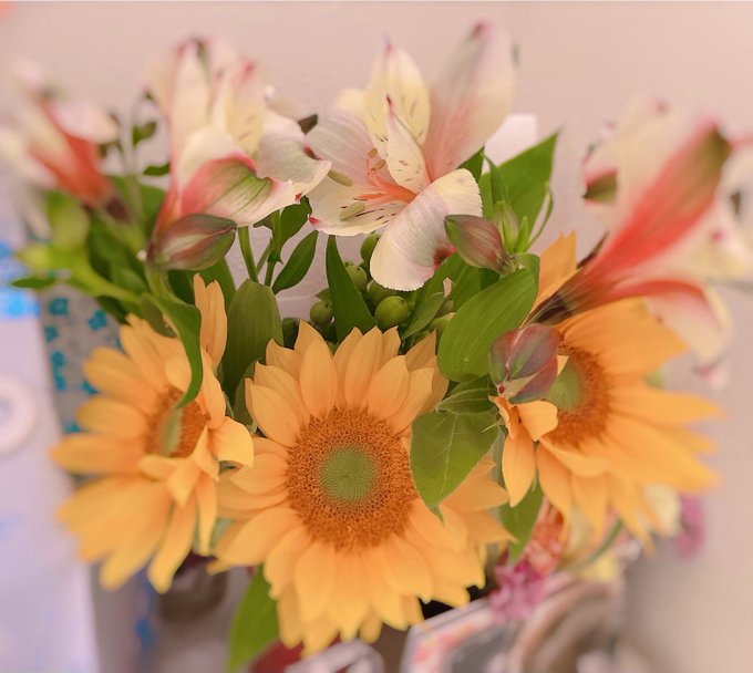 ただいまー☺️ 帰りにお花買ってきた🌼 ひまわりと、あとは名前忘れたw https://t.co/asRyLxzbqe