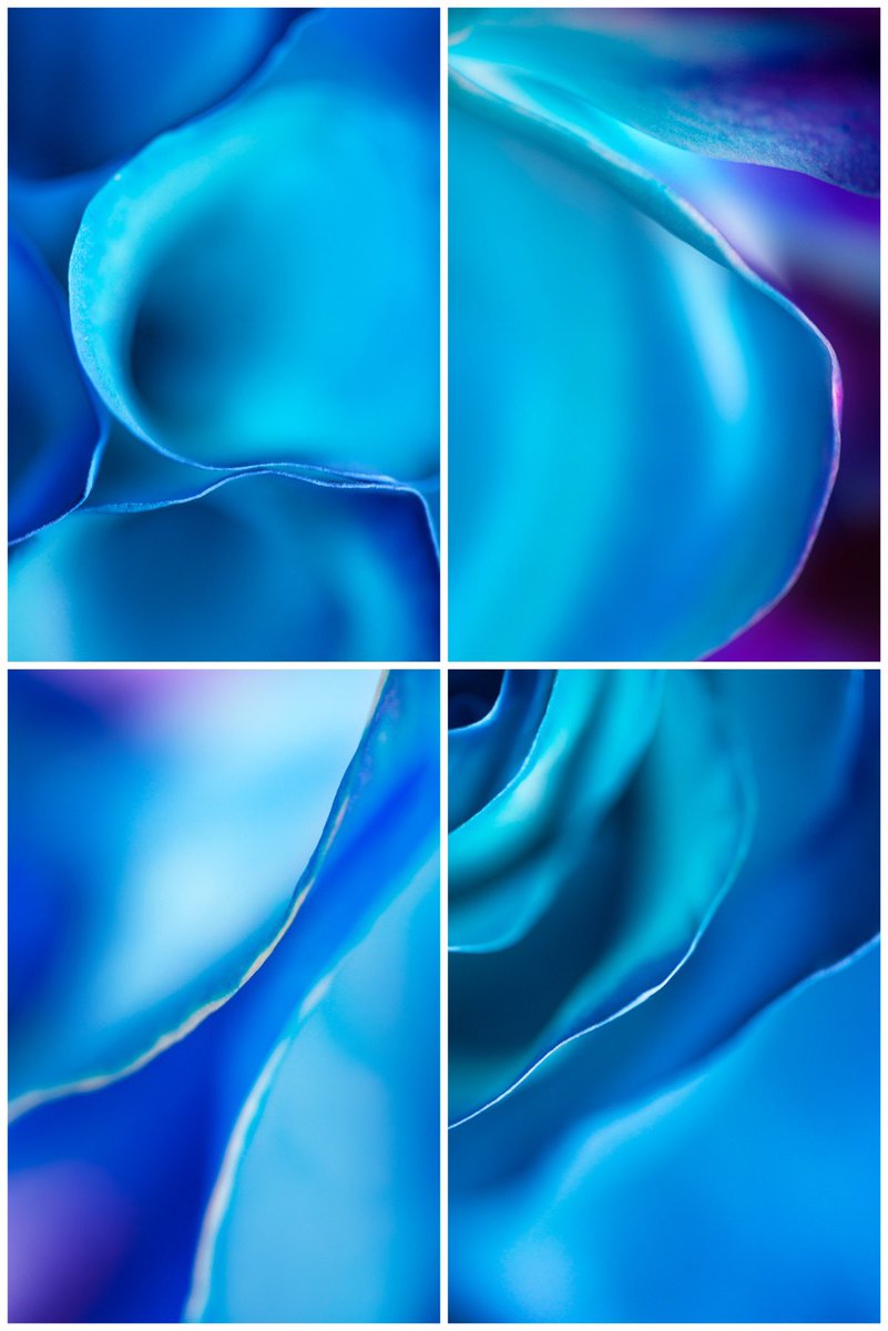 Reneejcampbell's tweet photo. Loving the blues today 💗💗 https://t.co/pKcrkvQnm9