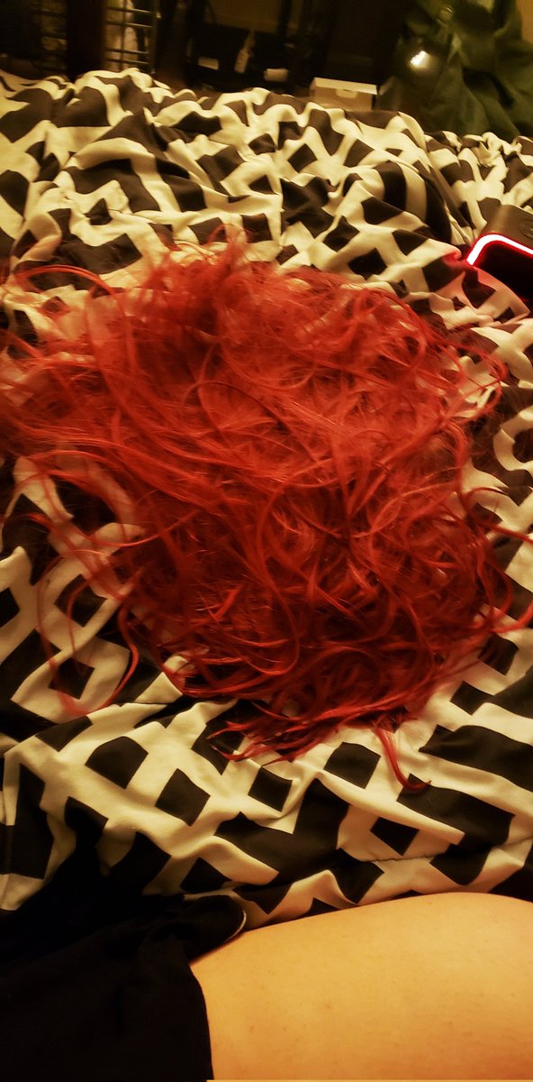 ScarletKnight tweet media