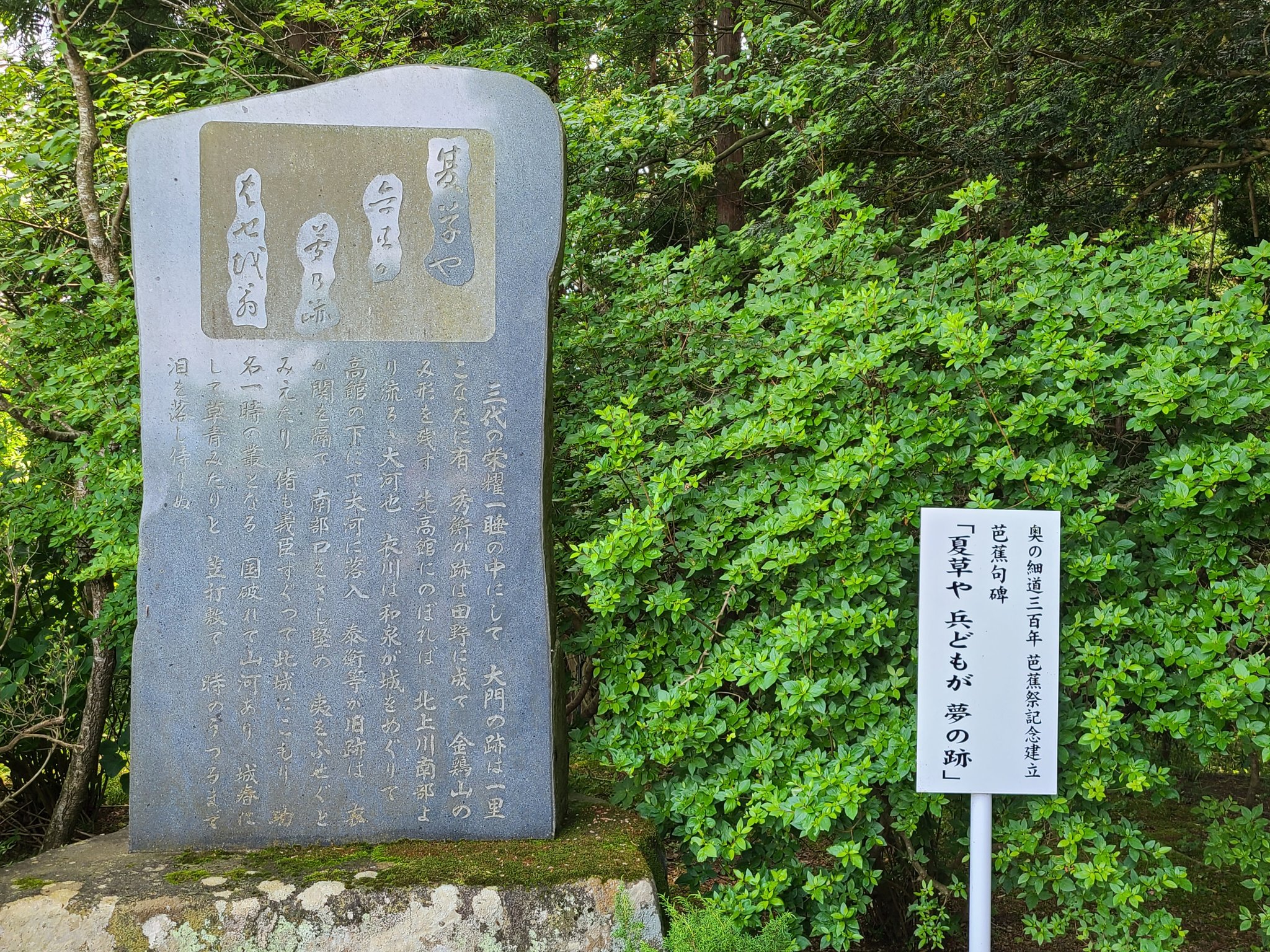 夏草や兵どもが夢の跡 Twitter Search Twitter