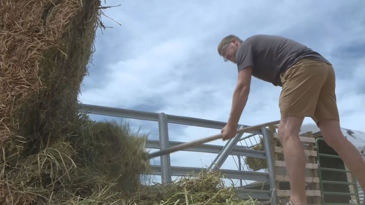 Colorado Farmers Hope To Break Down Barriers: ‘We Aren’t Different Than Anybody Else’ denver.cbslocal.com/2022/06/10/col…