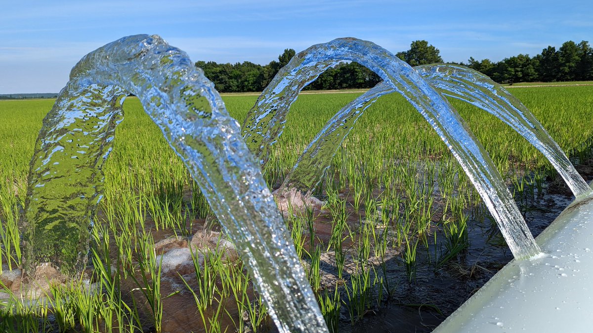 hatcher222's tweet photo. A little late for the going to flood party but we should make some headway now. #Rice22 https://t.co/FvZizT4pPM