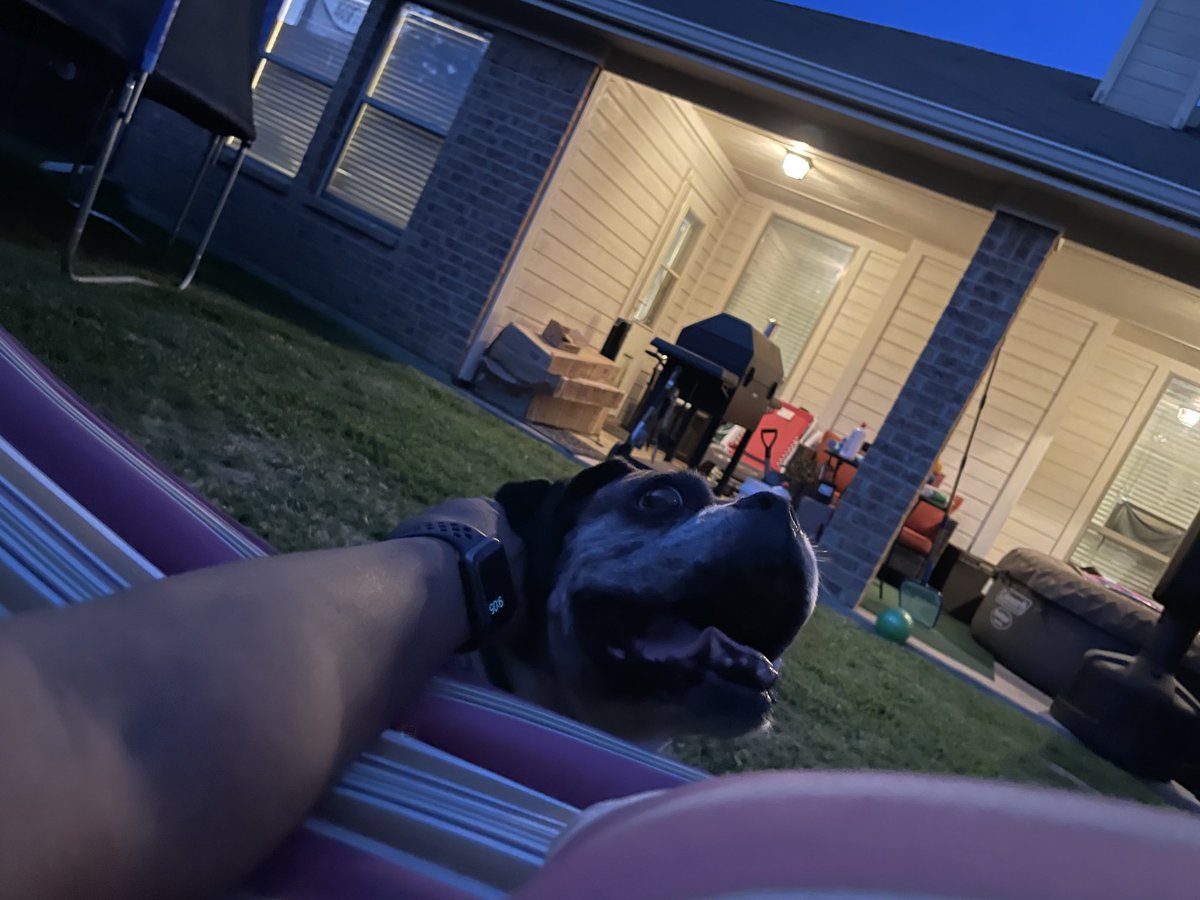 EpicLaLaGirl's tweet photo. #fridaynight #puppers #knightcorpspets β¦@DeejayKnightβ© https://t.co/DGvQHPE0eB