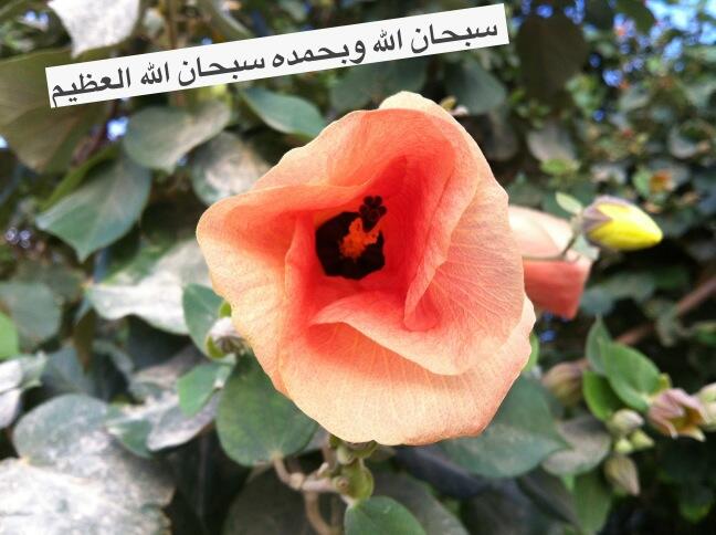 Doha4's tweet photo. https://t.co/sChMZTRzJ0