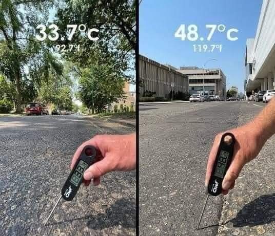 ArchHesham's tweet photo. أهمية الأشجار في حياتنا 🌱

نفس المدينة ونفس اليوم ونفس الوقت
لكن في شارعين مختلفين.

#مارأيكم https://t.co/bRLr44QJzA