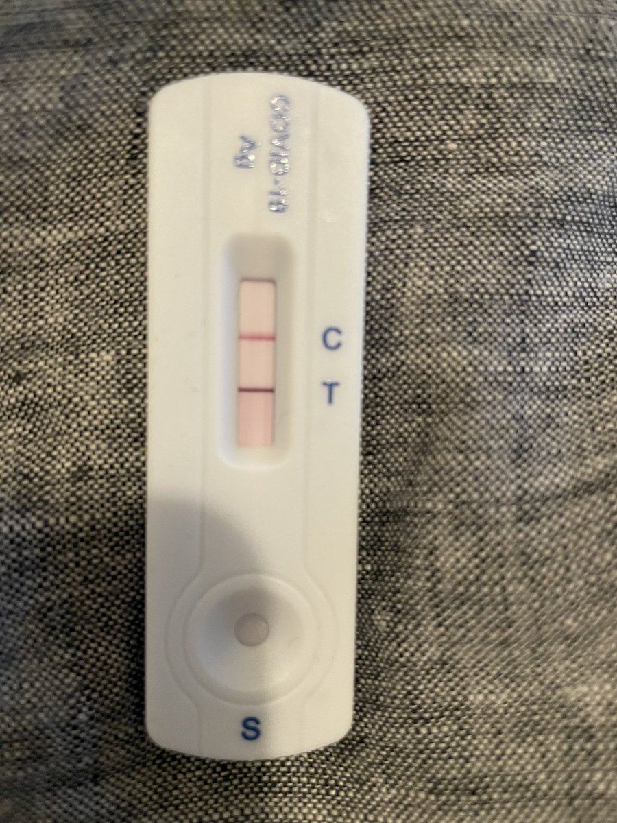 Ashley Feinberg (ashleyfeinberg.bsky.social) tweet media