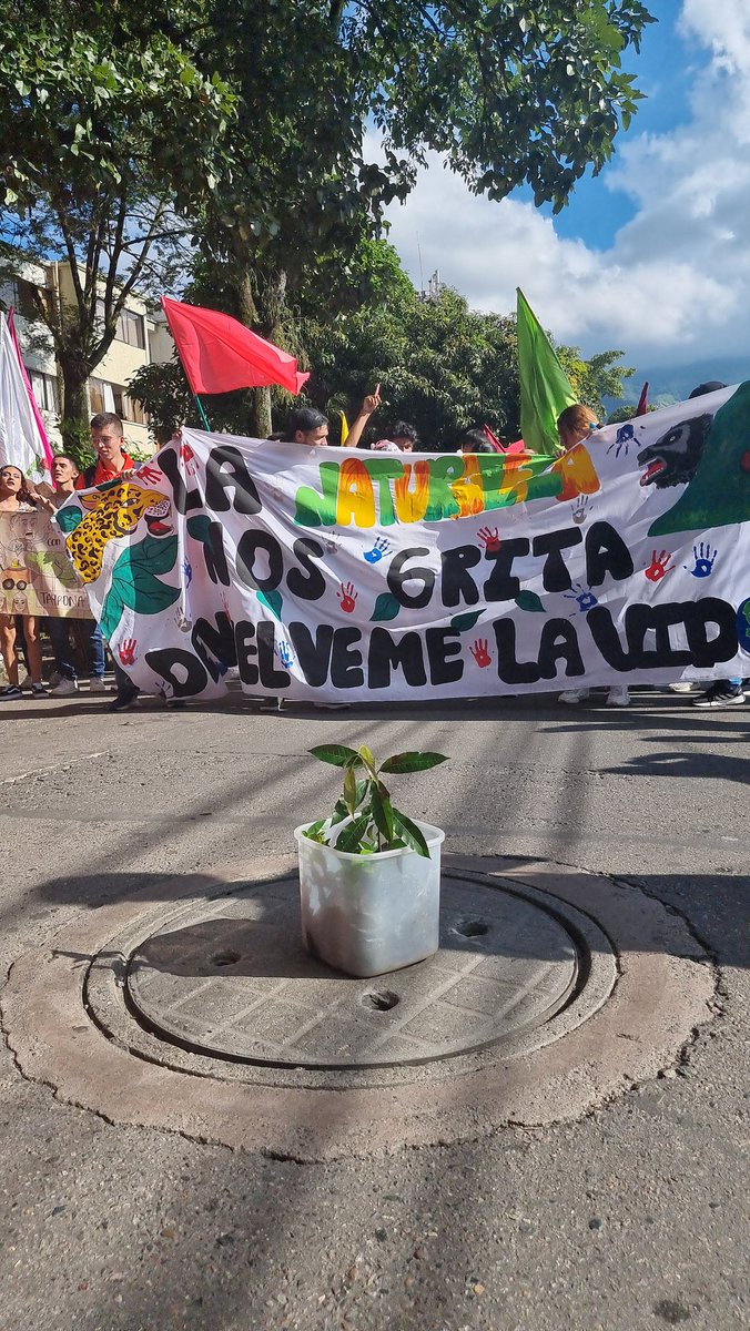 Michael Gerber | El Suizo Latino tweet media