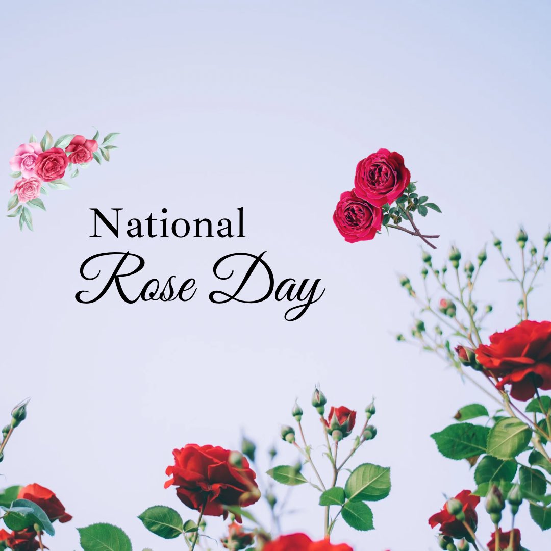 June 11th is National Rose Day
Sea Me Events is hosting a “Rose All Day” wine tasting featuring One Hope Winery’s delicious crisp Rose - held at Brighton in Cherry Hill Mall from 2-5 p.m. Sip, sample and shop! #nationalroseday #southjersey #cherryhillnj ⁦<a href="/ONEHOPEWINE/">ONEHOPE Wine</a>⁩