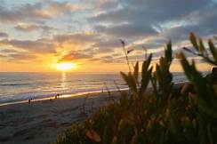INFO246TessC's tweet photo. @tgmlis Hey Tobi ! 
The photo you posted is
so serene...though sadly, I have only seen the snow (in real time) maybe twice in my life, as I live in sunny San Diego. 
That sky is fabulous!  
Here in SD we rarely even have rain, but we do have sunsets and beaches.

I'm a cloud watcher too! https://t.co/7nzekYE5Ry