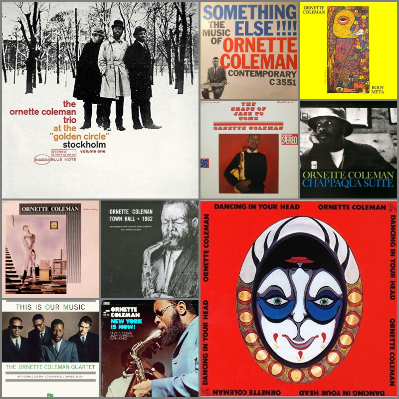 国立NO TRUNKS tweet media