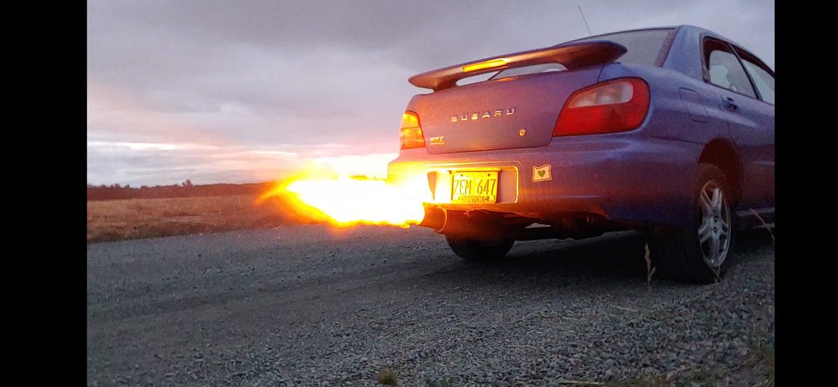 (ㆆᴥㆆ).｡oஇ tweet media