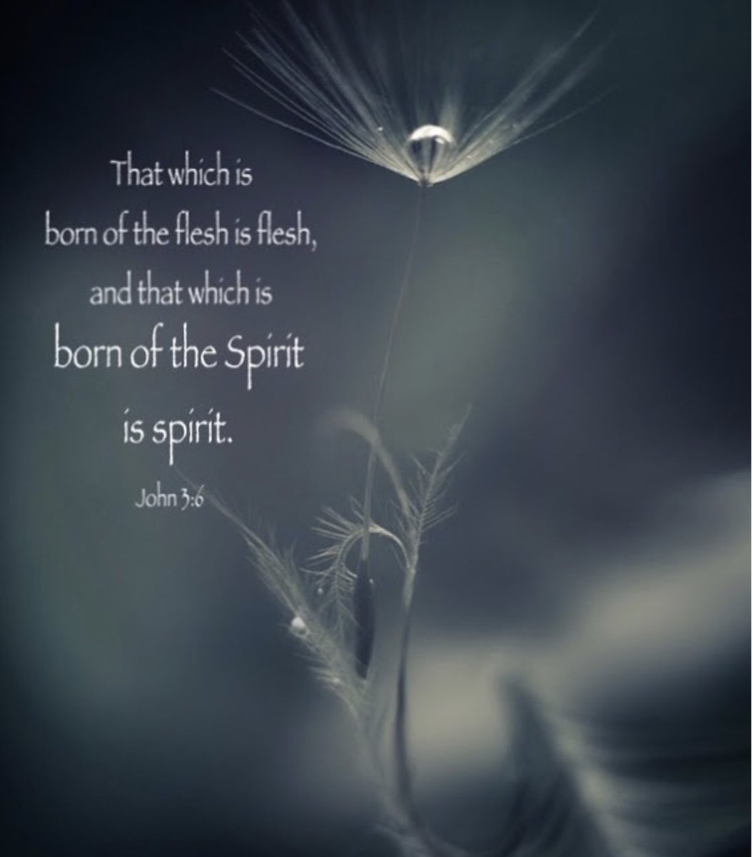 Witynfun's tweet photo. Do people sin because they’re sinners? Or, are they sinners because they sin? Whether you like it or not, believe it or not, God cannot lie! We all came into this world #DOA We were #BornIntoSin via 1st man #Adam+Sin=Death, 2nd #Adam Jesus+Spirit=Life #MustBeBornAgain https://t.co/45RjL2RomD