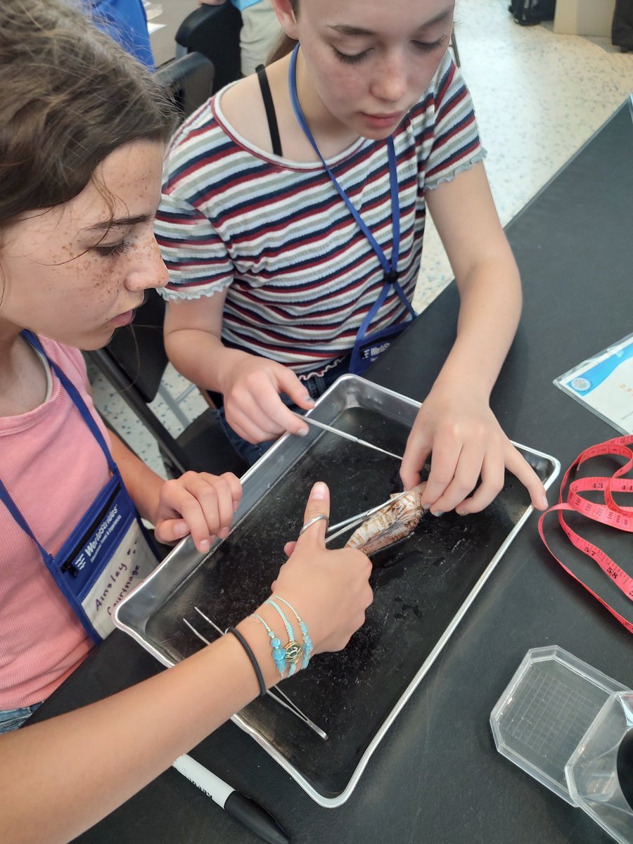 Great day with <a href="/TBWDiscovery/">Tampa Bay Watch Discovery Center</a> learning about estuary habitats, adaptations &amp; doing a biodiversity survey. Then off to the discovery center to learn about invasive species &amp; Lion Fish dissection! <a href="/WorldStrides/">WorldStrides</a>