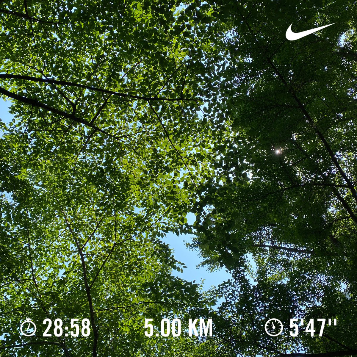 weekly20km's tweet photo. #1주일에_20km #nrc #러닝 #석촌호수 #nft #beeple #project https://t.co/JfrV2F5pF7