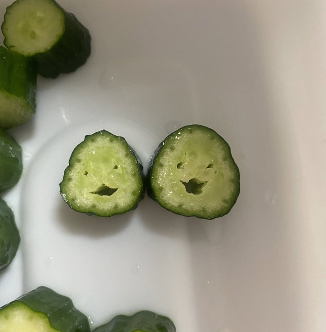 キュウリを切ったら キムチになるの楽しみにしてるやつらがいた かわいい笑顔のコンビに 超癒される と人気集まる 1 2 ページ ねとらぼ