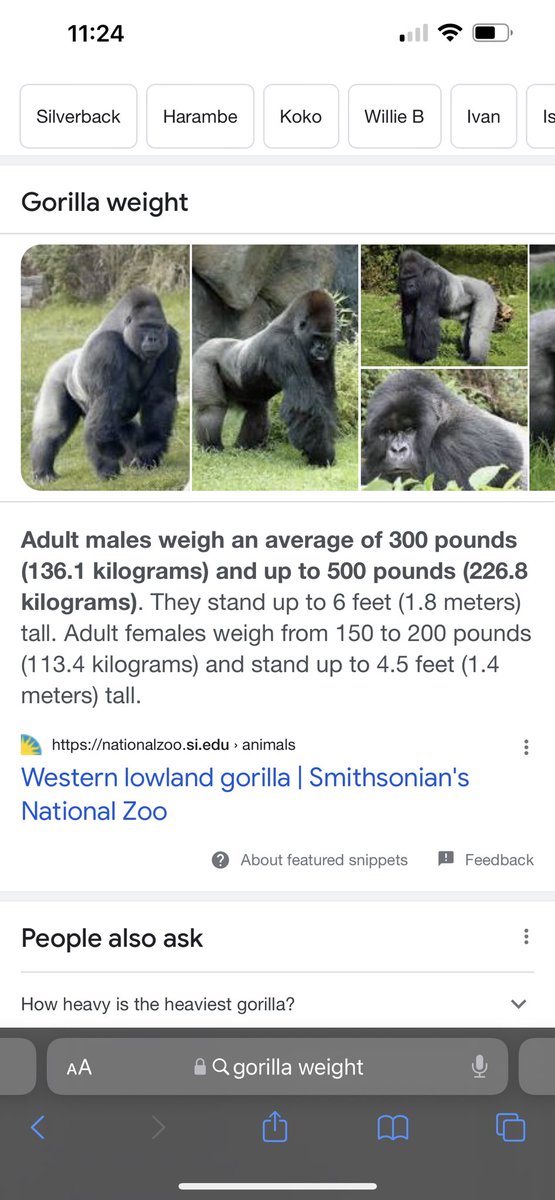 RonSquash's tweet photo. @KFlaherty247 @howe_u_doin Nah polar bear is way out of both of their weight classes https://t.co/UluAtixpKi